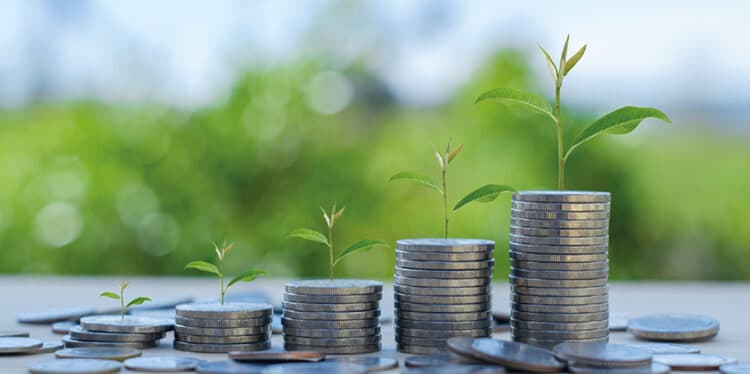 SU desarrollo economico sostenible DAFO SU desarrollo economico sostenible DAFO