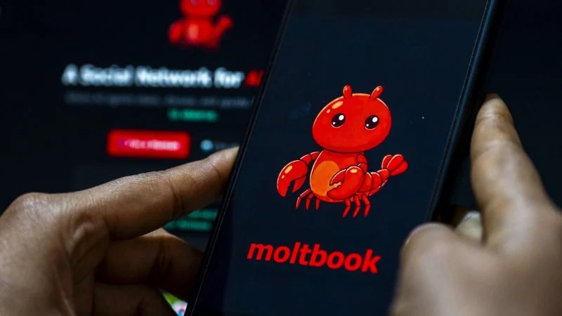 Caso Moltbook